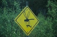 /album/placas-legais/funny-sign-boards-04-jpg/