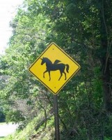 /album/placas-legais/placa101-jpg/