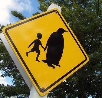 Cuidado, pinguim pedofilo